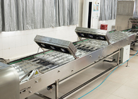 Installation de refroidissement de rassemblement électrique de cuisson commerciale de champ de convoyeur