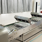 Machine de refroidissement semi-automatique pour les aliments convoyeur de marquage