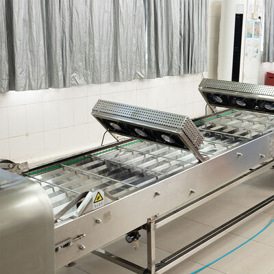 Marshalling Cooling Conveyor Suitable For Industrial Biscuit Production Applications