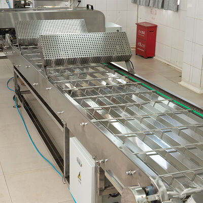 Marshalling Cooling Conveyor Suitable For Industrial Biscuit Production Applications