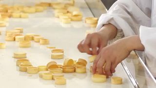 Shell Production Line au goût âpre automatique